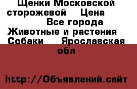 Щенки Московской сторожевой  › Цена ­ 25 000 - Все города Животные и растения » Собаки   . Ярославская обл.